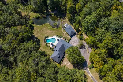 349 Turkey Farm Road, Blythewood, SC 29016 - Photo 49