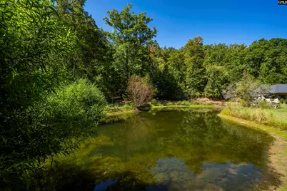 349 Turkey Farm Road, Blythewood, SC 29016 - Photo 37