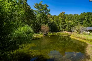349 Turkey Farm Rd, Blythewood, SC 29016 - Photo 37