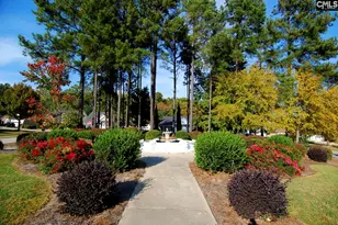 300 Baltica Ln, Irmo, SC 29063 - Photo 37