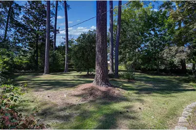 249 Morningside Drive, Columbia, SC 29210 - Photo 47
