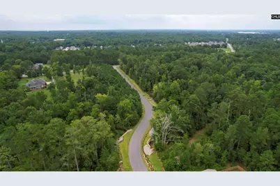 295 Chesapeake Drive, Chapin, SC 29036 - Photo 45