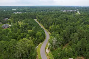 295 Chesapeake Dr, Chapin, SC 29036 - Photo 45