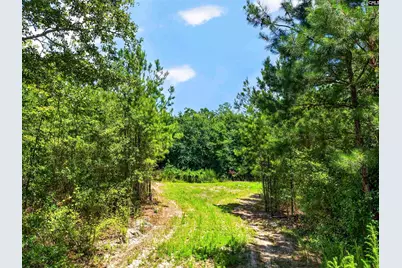 2215 Porter Road, Cassatt, SC 29032 - Photo 35