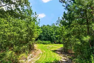 2215 Porter Rd, Cassatt, SC 29032 - Photo 35