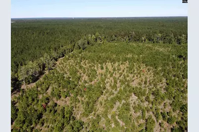 0 Tema Road #Lot 1, Hartsville, SC 29550 - Photo 25