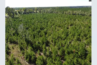 0 Tema Road #Lot 1, Hartsville, SC 29550 - Photo 13