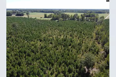 0 Tema Road #Lot 1, Hartsville, SC 29550 - Photo 23