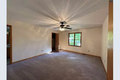 207 Blueberry Drive, Lexington, SC 29073 - Photo 5