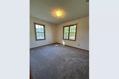 207 Blueberry Drive, Lexington, SC 29073 - Photo 11