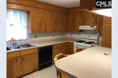207 Blueberry Drive, Lexington, SC 29073 - Photo 7