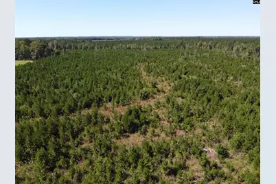 0 Tema Road #Lot 2, Hartsville, SC 29550 - Photo 41