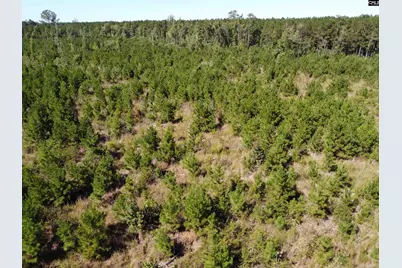 0 Tema Road #Lot 2, Hartsville, SC 29550 - Photo 17
