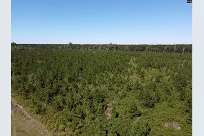 0 Tema Road #Lot 2, Hartsville, SC 29550 - Photo 37
