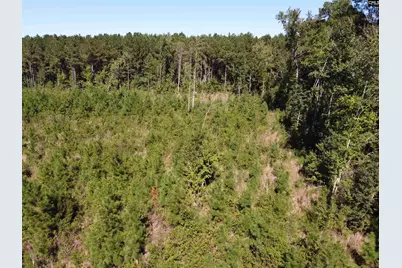 0 Tema Road #Lot 2, Hartsville, SC 29550 - Photo 19