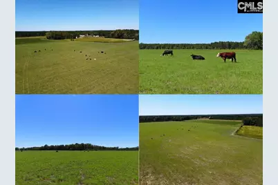 0 Tema Road #Lot 3, Hartsville, SC 29550 - Photo 1