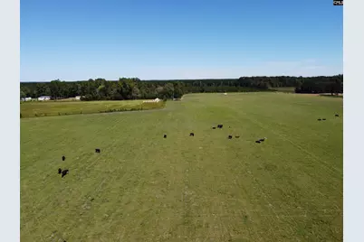 0 Tema Road #Lot 3, Hartsville, SC 29550 - Photo 39
