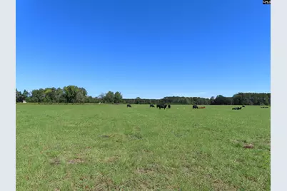 0 Tema Road #Lot 3, Hartsville, SC 29550 - Photo 15
