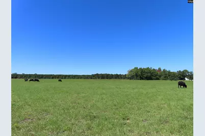 0 Tema Road #Lot 3, Hartsville, SC 29550 - Photo 9