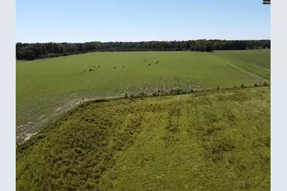 0 Tema Road #Lot 3, Hartsville, SC 29550 - Photo 23