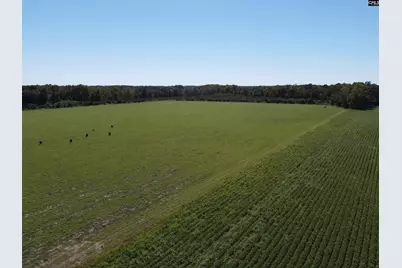 0 Tema Road #Lot 3, Hartsville, SC 29550 - Photo 3