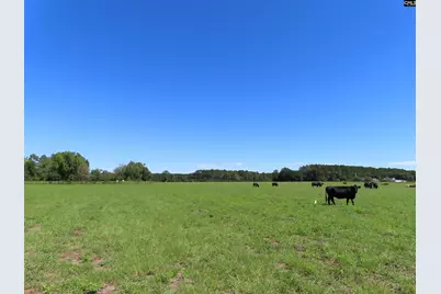 0 Tema Road #Lot 3, Hartsville, SC 29550 - Photo 7