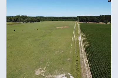 0 Tema Road #Lot 4, Hartsville, SC 29550 - Photo 15