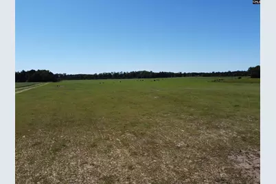 0 Tema Road #Lot 4, Hartsville, SC 29550 - Photo 13