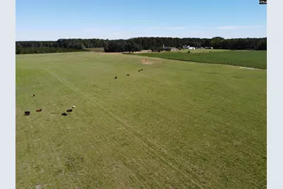 0 Tema Road #Lot 4, Hartsville, SC 29550 - Photo 3
