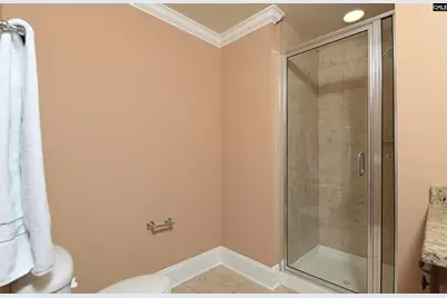 21 Palm Crescent Court, Blythewood, SC 29016 - Photo 49