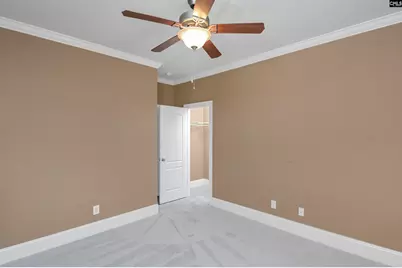 21 Palm Crescent Court, Blythewood, SC 29016 - Photo 41