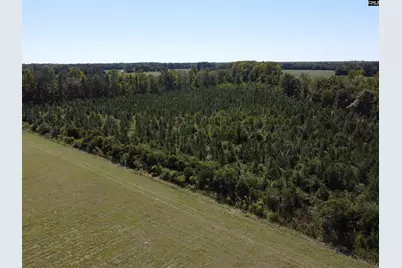 0 Tema Road #Lot 5, Hartsville, SC 29550 - Photo 39