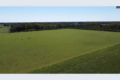 0 Tema Road #Lot 5, Hartsville, SC 29550 - Photo 3