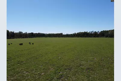 0 Tema Road #Lot 5, Hartsville, SC 29550 - Photo 33