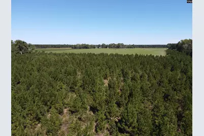 0 Tema Road #Lot 5, Hartsville, SC 29550 - Photo 25