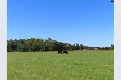 0 Tema Road #Lot 5, Hartsville, SC 29550 - Photo 31
