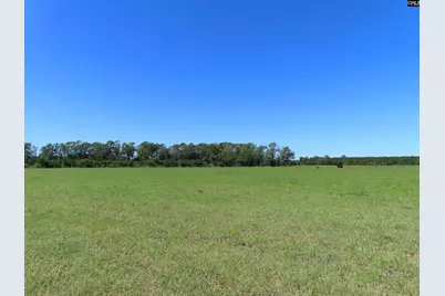 0 Tema Road #Lot 5, Hartsville, SC 29550 - Photo 11