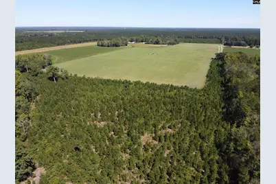 0 Tema Road #Lot 5, Hartsville, SC 29550 - Photo 5