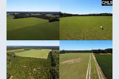 0 Tema Road #Lot 5, Hartsville, SC 29550 - Photo 1
