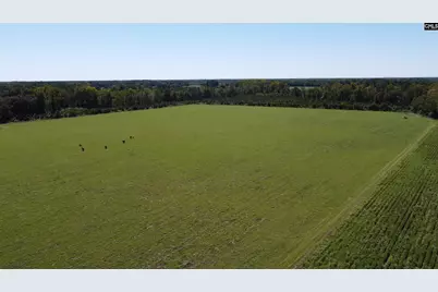 0 Tema Road #Lot 5, Hartsville, SC 29550 - Photo 43