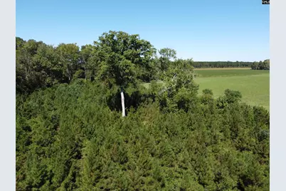 0 Tema Road #Lot 5, Hartsville, SC 29550 - Photo 27