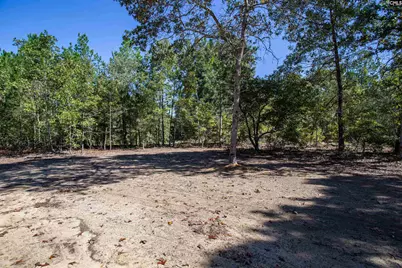 1404 Mount Zion Road, Cassatt, SC 29032 - Photo 27