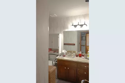160 Kinghill Drive, West Columbia, SC 29172 - Photo 45