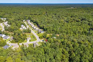 614 Muldrow Ln, Chapin, SC 29036 - Photo 47