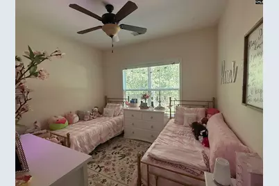 205 Forest Bickley Road, Chapin, SC 29036 - Photo 11