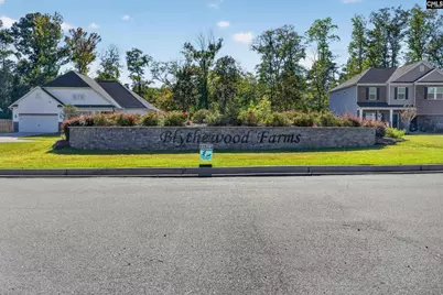 3018 Hanging Valley Road, Blythewood, SC 29016 - Photo 79