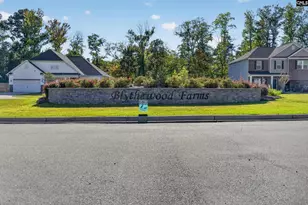 3018 Hanging Valley Rd, Blythewood, SC 29016 - Photo 79