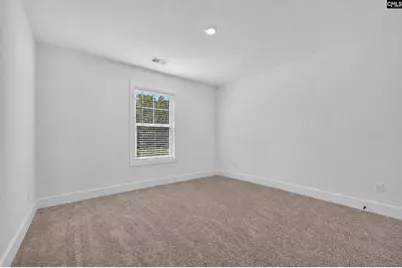 3018 Hanging Valley Road, Blythewood, SC 29016 - Photo 57