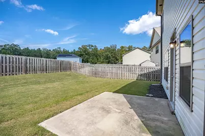 253 Bickley View Court, Chapin, SC 29036 - Photo 25