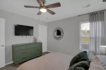 253 Bickley View Court, Chapin, SC 29036 - Photo 5